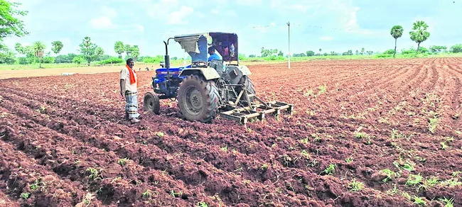 యాసంగ