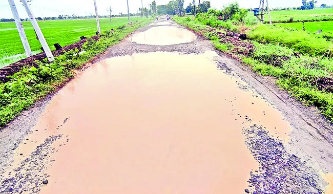 నమ్మం