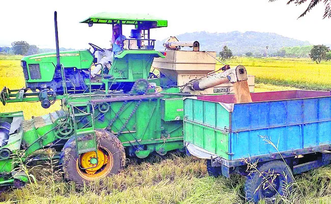 చేతికొస్తున్న పంట