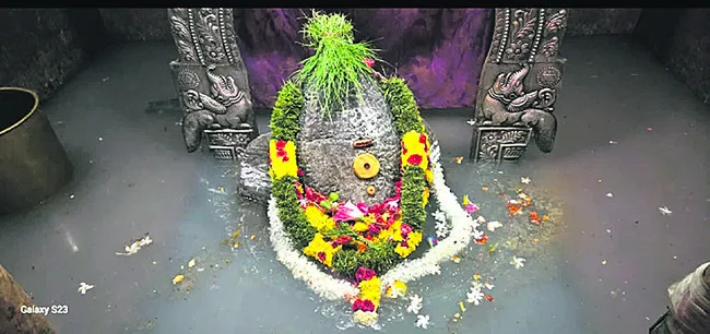 విఘ్నేశునికీ తప్పని తిప్పలు