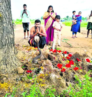 నాగేంద్రహారాయ.. నమఃశివాయ