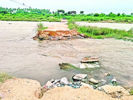 వామ్మ