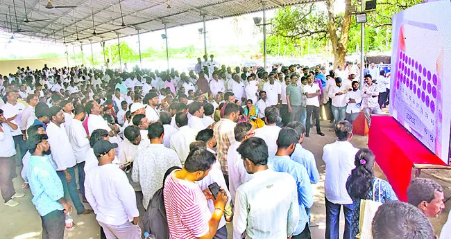 డ్రాల