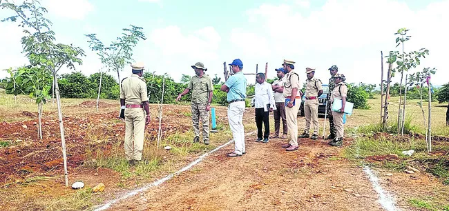 మొక్కల సంరక్షణ అందరి బాధ్యత