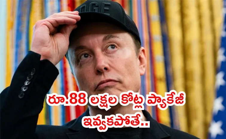 ఎలాన్ మస్క్ టెస్లాకు బై..బై?
