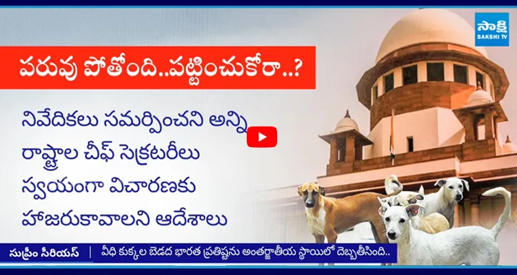 SC: వీధి కుక్కల బెడద భారత ప్రతిష్టను అంతర్జాతీయ స్థాయిలో దెబ్బతీసింది