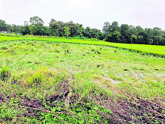 జాగ్రత్తలే శ్రీరామరక్ష