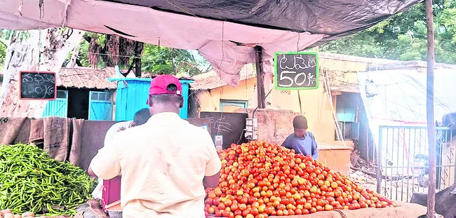 కిలో టమాట రూ.50 