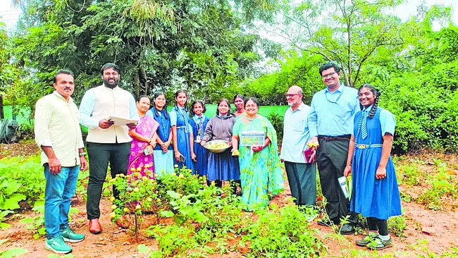 ఔషధ, కూరగాయల తోట పరిశీలన