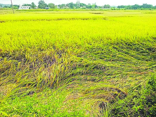 పొంచిన మరో ముప్పు