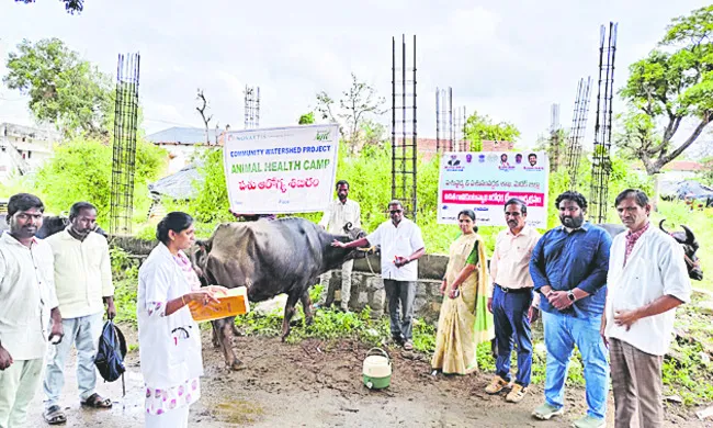 పశు సంపద అభివృద్ధే ధ్యేయం