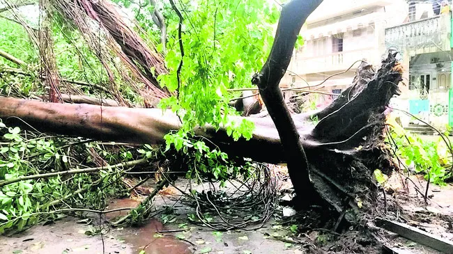 హడలెత్తించిన మోంథా