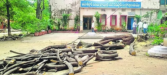 యథేచ్ఛగా చెట్ల నరికివేత!