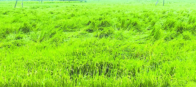 వణికిస్తున్న మోంథా తుపాను