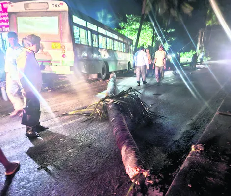 కూలిన చెట్టును ఢీకొన్న బస్సు 