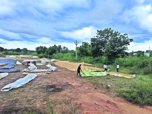 రైతుల్లో ‘మోంథా’ గుబులు!