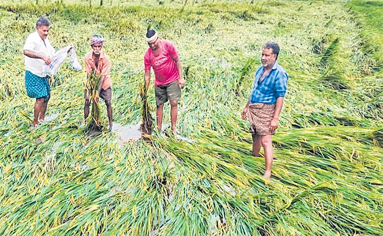 శాంతించిన మోంథా!