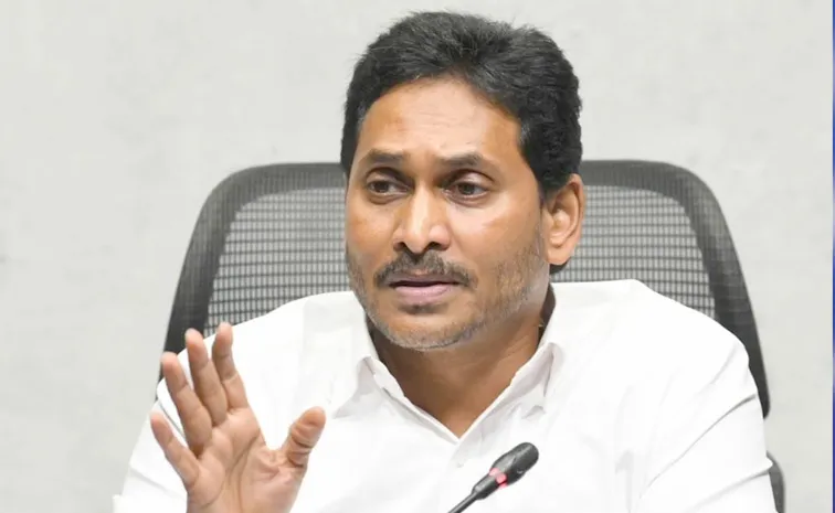 పార్టీ నేతలతో  వైఎస్ జగన్ జూమ్ మీటింగ్