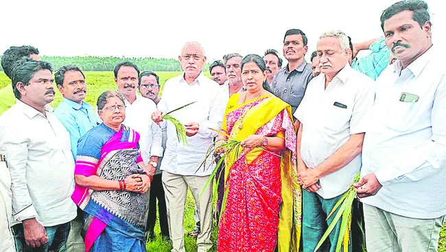 రైతులను ఏ విధంగా ఆదుకుంటారు?