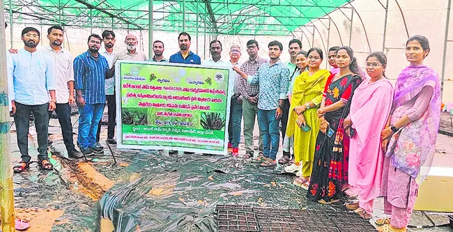 ఆయిల్‌పామ్‌ సాగుకు రాయితీ