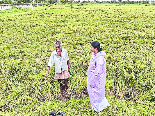 రహదారులపై నీళ్లు నిలవకుండా పకడ్బందీ చర్యలు 