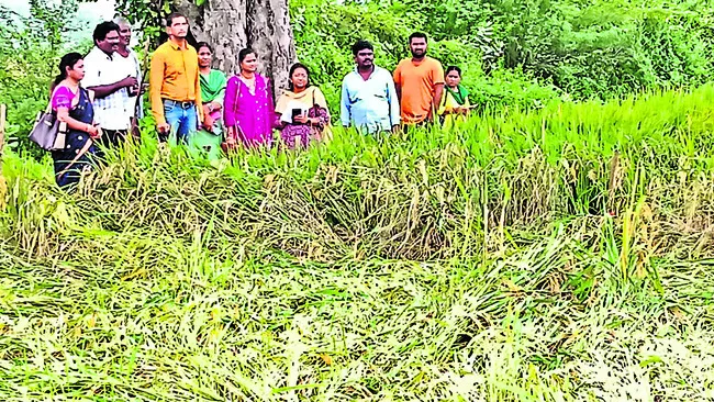 నష్టం మిగిలింది !
