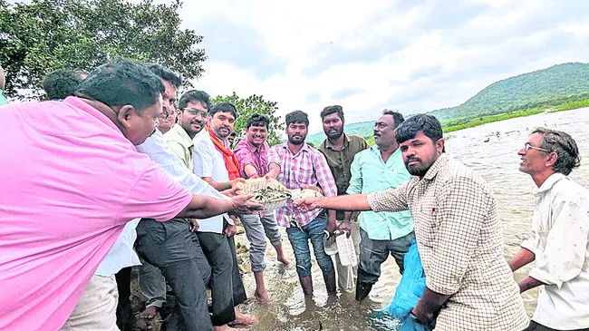 చేపల పెంపకంతో మత్స్యకారులకు ఉపాధి