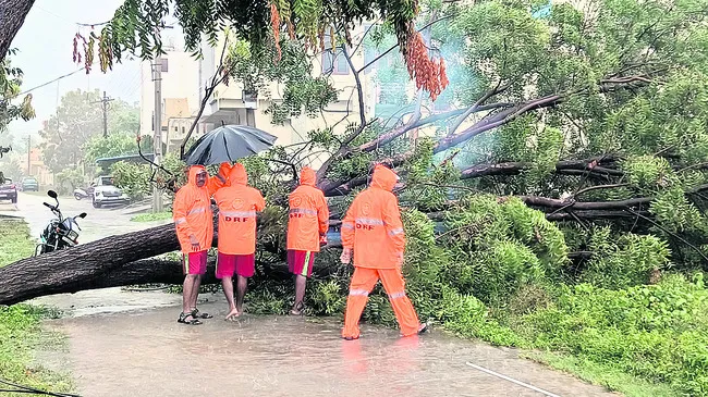 చర్యలు చేపట్టండి: వరంగల్ కలెక్టర్