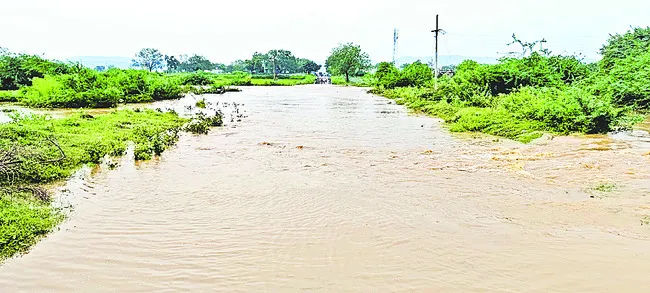 జడిపించిన వాన