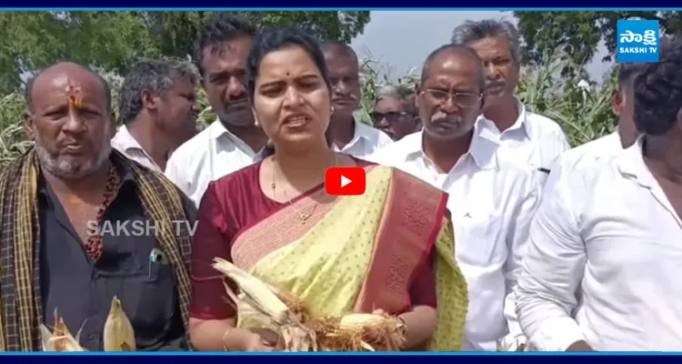 Vidadala: ఇది చిలకలూరిపేట రైతుల పరిస్థితి.. ప్రభుత్వాన్ని నేను కోరుకునేది ఒక్కటే