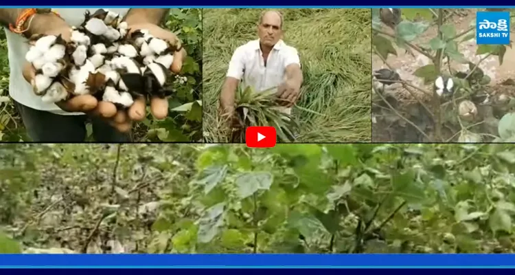 బాబు గారు సీఎంగా ఉంటే వస్తదా? ఎల్లో మీడియా వార్తలపై ఈశ్వర్ సెటైర్లు