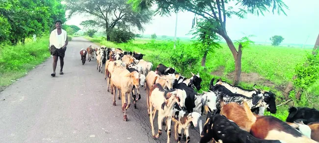 మూగరోదన..!