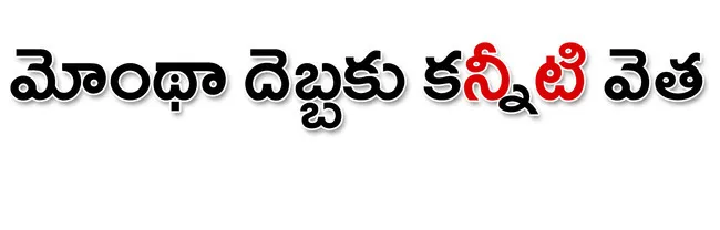 పల్నా
