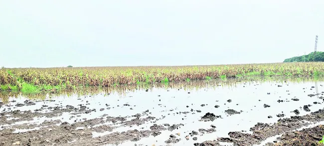 రైతన్నకు కన్నీరే దిక్కు..!