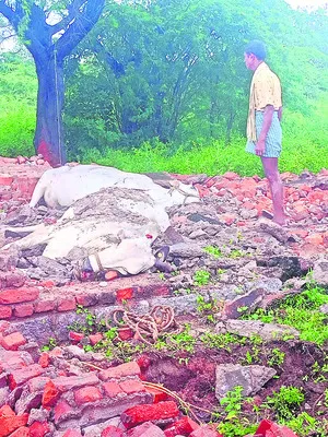 నేటి నుంచి రైళ్ల పునరుద్ధరణ