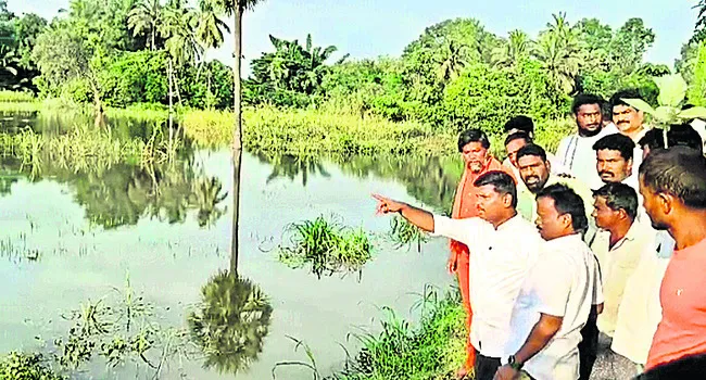 తక్షణం పంట నష్టపరిహారం అందించాలి 