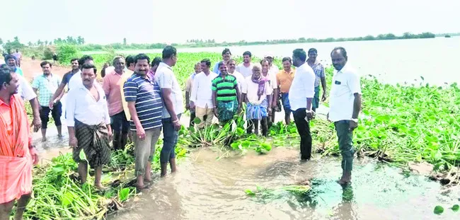 కలెక్టరమ్మా.. మా కన్నీళ్లు చూడమ్మా!
