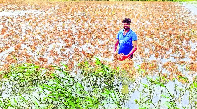 నష్టం కొండంత