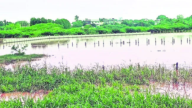 చెరువులు కాదు.. రియల్ వెంచర్లు