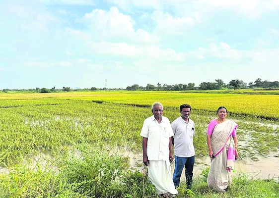 34,127 ఎకరాల్లో పంట నష్టం