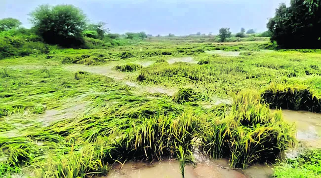 రైతన్నకు కన్నీరే దిక్కు..!