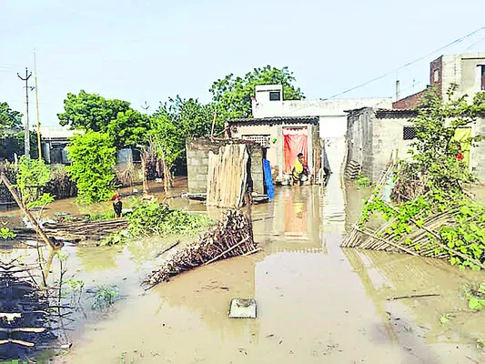 కోలుకోలేనంత