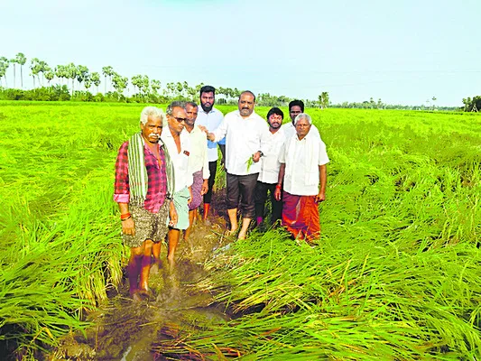 కూటమి ప్రభుత్వంలో రైతులకు భరోసా కరువు 