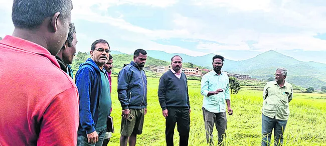 దెబ్బతిన్న వరిపైరు పరిశీలన 