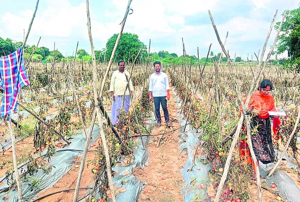 ఆశలపై మోంథా పడగ