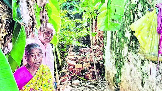 టెట్కు ఉచిత శిక్షణ