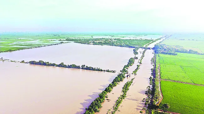 పంటలన్నీ మునక