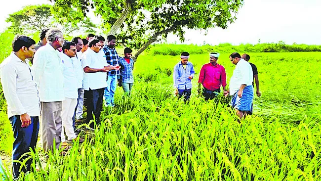 నష్టపోయిన రైతులను ఆదుకోవాలి