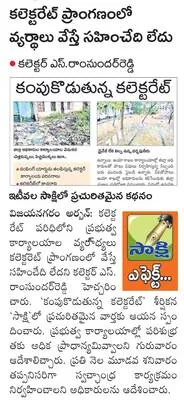 దత్తివలసలో ఏనుగుల గుంపు