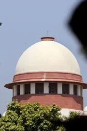 Stray Dogs Case: No Relief for Chief Secretaries In Supreme Court4
